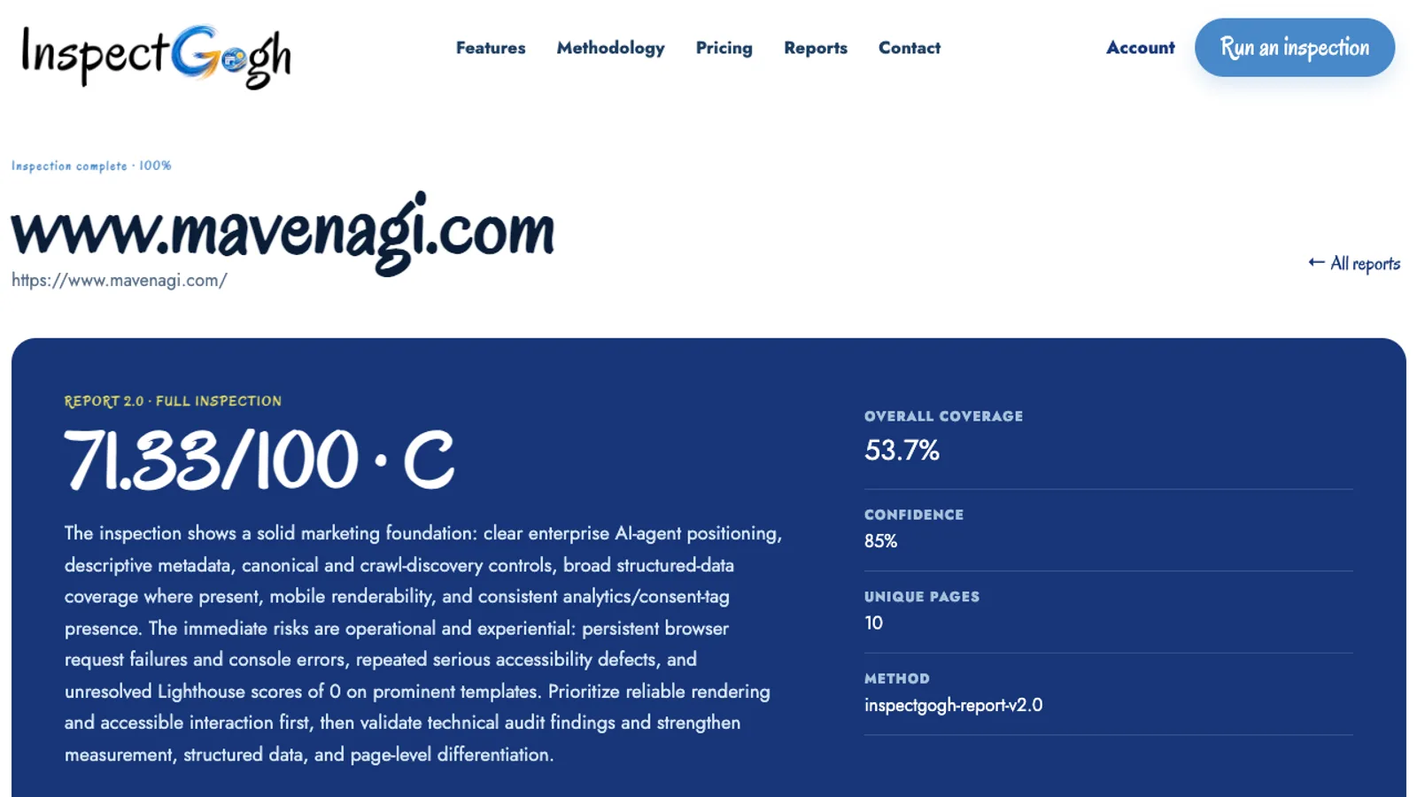 InspectGogh completed website report